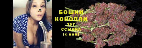 spice Надым