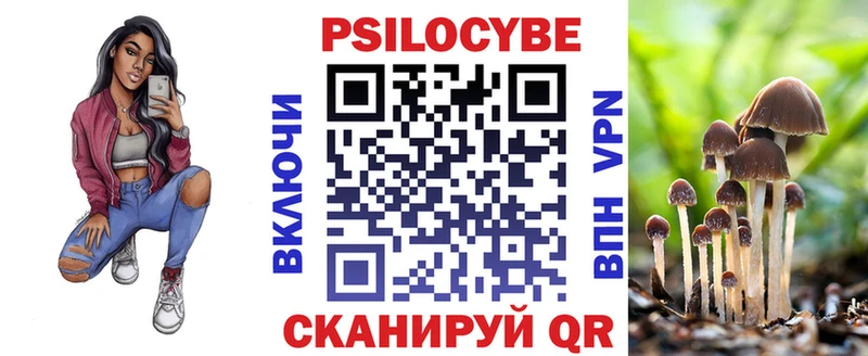 где купить Иноземцево Псилоцибиновые грибы Psilocybine cubensis